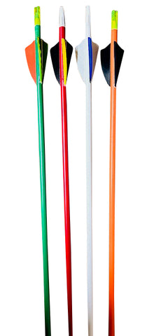 Kids Arrows w/Feathers