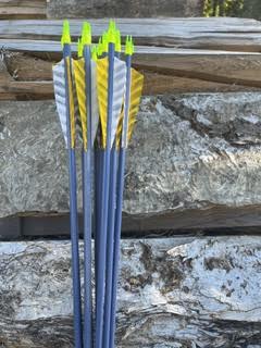 HUNTER UTILITY 5/16" <30# @31" WITH POINTS ONE DOZEN