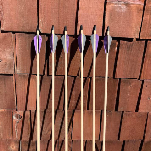 KID ARROWS WITH VANES 6 PACK  (WKKD256)