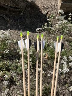 KIDDIE ARROWS 6 PACK  (WKKD258)