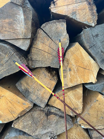 ARROWS IN STOCK 11/32" 45-50# WITH INSERT FOR LUMENOKS 2 PACK (SK13)
