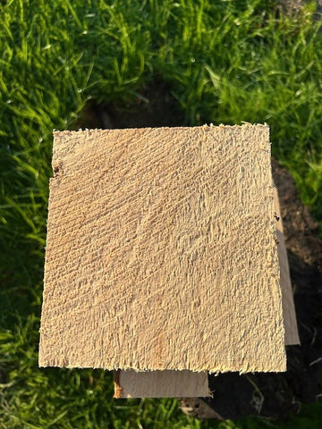 TURNING PORT ORFORD CEDAR BOWL BLOCKS W/FIGURE GRAIN