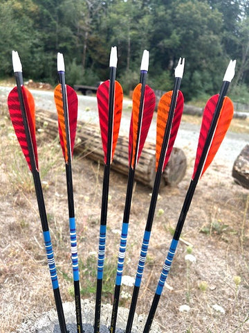 (SALES ITEM) HUNTER NIGHTFALL ARROWS 5/16 LESS THAN 30-POUND# 28.5" (6 PACK) (NF34)