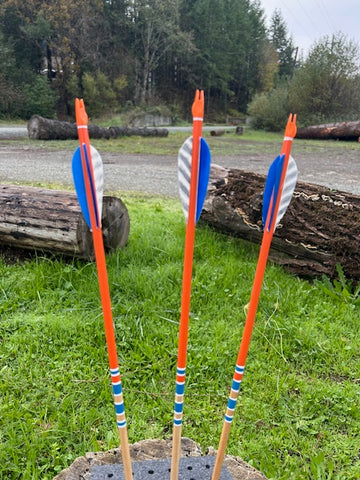 (SALES PAGE) HUNTER ELITE ARROWS 5/16 LESS THAN 30-POUND#; 28.5" (10 PACK) (HE11)