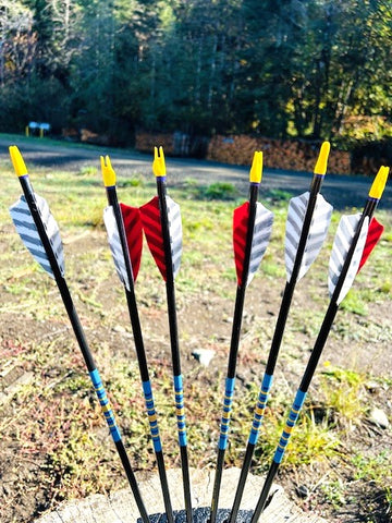 (OVERSTOCK SALES ITEM) HUNTER NIGHTFALL ARROWS 5/16 35-40# 28.5" (6 pack) (NF12)