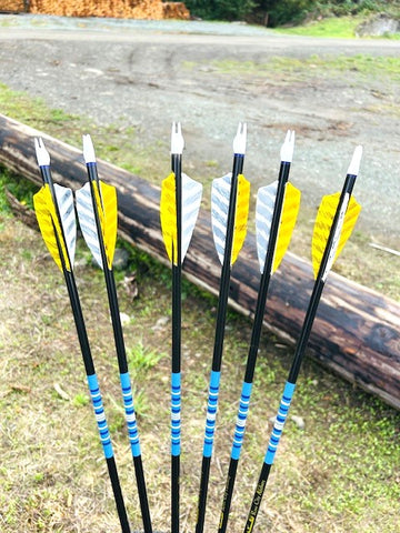 (OVERSTOCK SALES ITEM) HUNTER NIGHTFALL ARROWS 5/16 35-40# 28.5" (6 pack) (NF14)