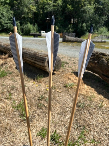 (RTS IN STOCK) READY TO SHOOT ARROWS 5/16 35-40# 28.5" (ONE DOZEN) (SK111)