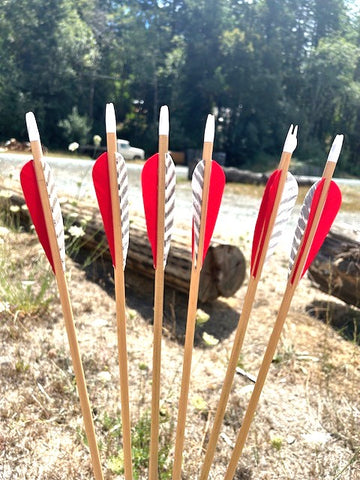 (RTS IN STOCK) READY TO SHOOT ARROWS 5/16 45-50# 30" (6 PACK) (SK157)