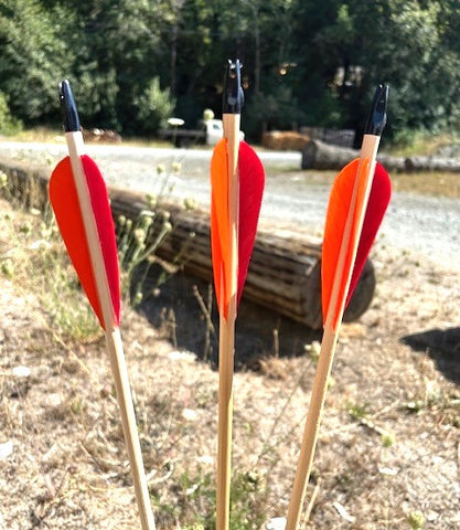(RTS IN STOCK) READY TO SHOOT ARROWS 11/32 50-55# 28.5" (ONE DOZEN) (SK201)