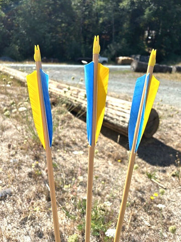 (RTS IN STOCK) READY TO SHOOT ARROWS 11/32 55-60# 30" (ONE DOZEN) (SK204)