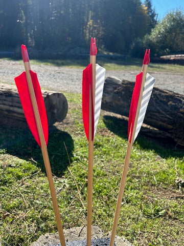 (RTS IN STOCK) READY TO SHOOT ARROWS 11/32 30-35# 28.5" (ONE DOZEN) (SK3)