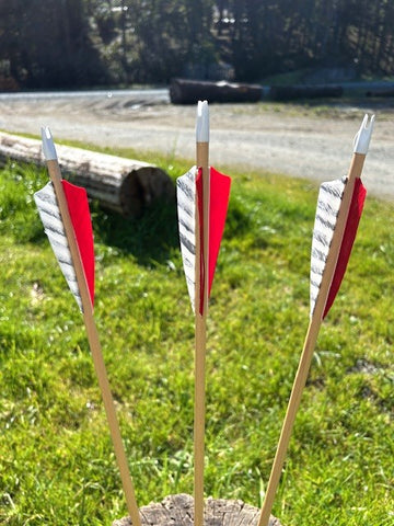 (RTS IN STOCK) READY TO SHOOT ARROWS 5/16 30-35# 28.5" (ONE DOZEN) (SK708)