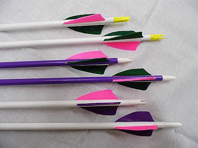 Kids Arrows w/Feathers